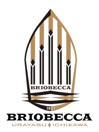 BRIOBECCA