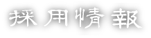 採用情報